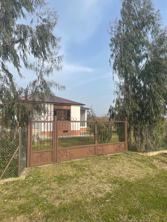 Apartment Comfort In Ureki Kültér fotó